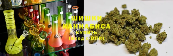 крисы Гусиноозёрск