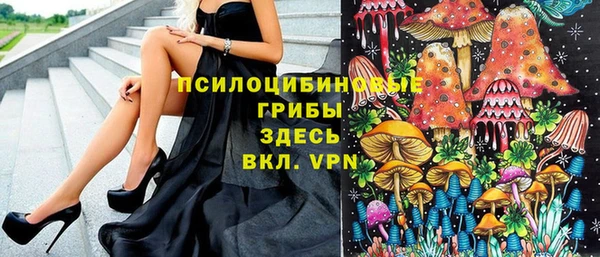 МДПВ Гусь-Хрустальный