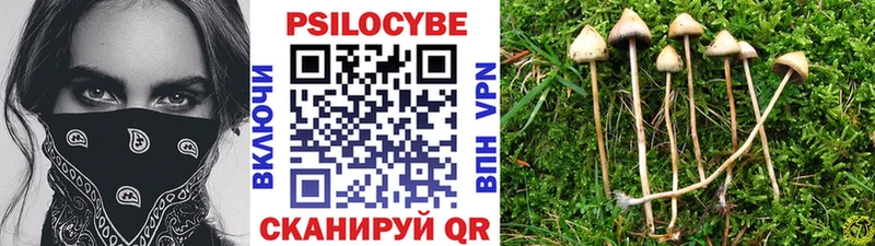 Галлюциногенные грибы MAGIC MUSHROOMS  Киров 